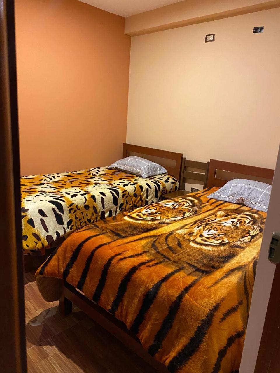 Auberge de jeunesse Aventura Chachapoyas Backpackers Extérieur photo